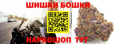 крисы Будённовск