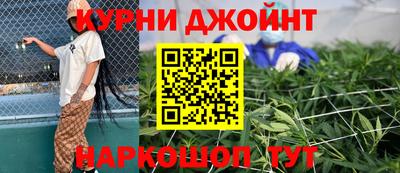 крисы Будённовск