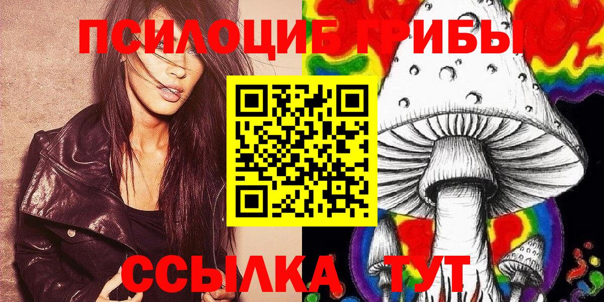 Галлюциногенные грибы Psilocybe Мирный